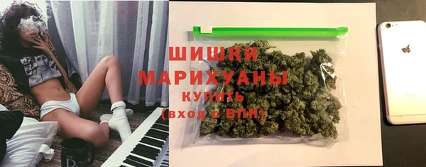 ГАЛЛЮЦИНОГЕННЫЕ ГРИБЫ Каменка