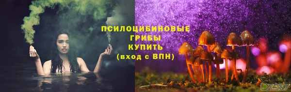 ПСИЛОЦИБИНОВЫЕ ГРИБЫ Каменногорск