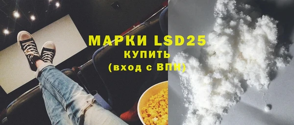 ГАЛЛЮЦИНОГЕННЫЕ ГРИБЫ Каменка
