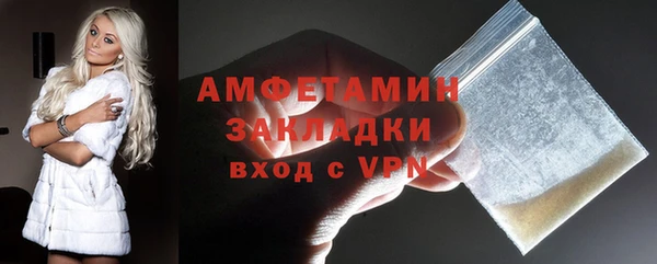 ГАЛЛЮЦИНОГЕННЫЕ ГРИБЫ Каменка
