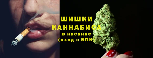 ПСИЛОЦИБИНОВЫЕ ГРИБЫ Каменногорск