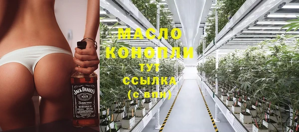 ГАЛЛЮЦИНОГЕННЫЕ ГРИБЫ Каменка