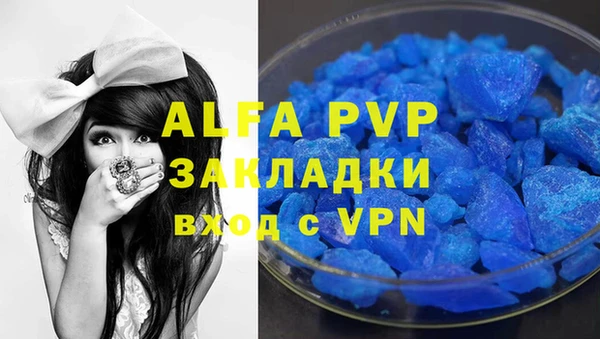 ГАЛЛЮЦИНОГЕННЫЕ ГРИБЫ Каменка