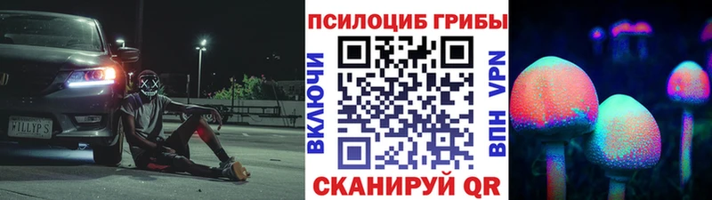 Купить Краснотурьинск Псилоцибиновые грибы MAGIC MUSHROOMS